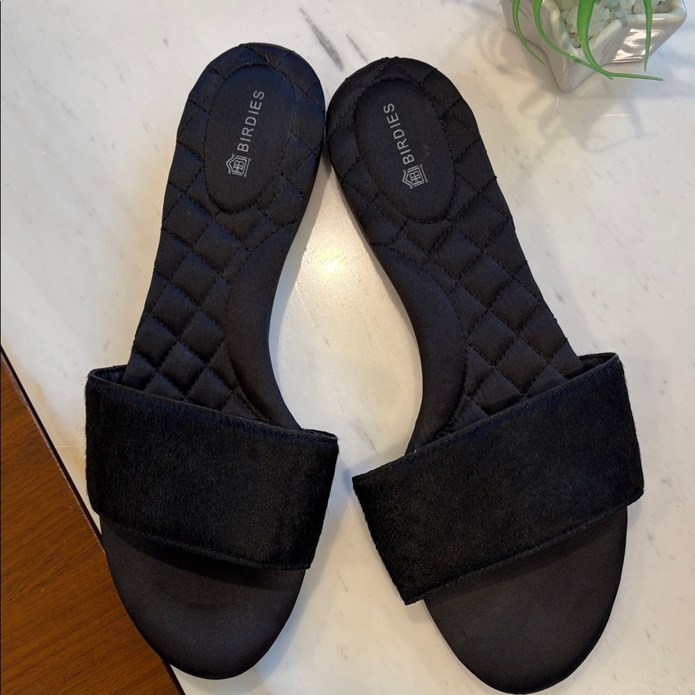 Birdies Midnight Black Women's Slippers